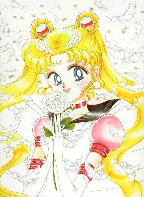   sailor moon sailormoon usagi usa SuperSailormoon                inner iner iners     