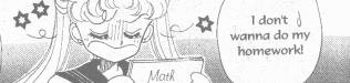   sailor moon sailormoon usagi usa SuperSailormoon                inner iner iners     