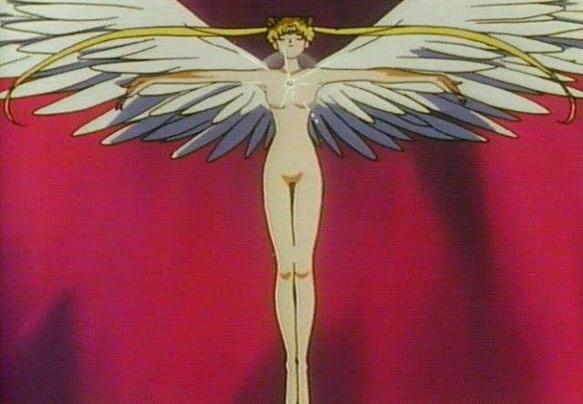   sailor moon sailormoon usagi usa SuperSailormoon                inner iner iners     