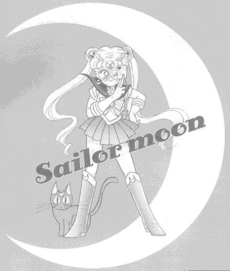   sailor moon sailormoon usagi usa SuperSailormoon                inner iner iners     