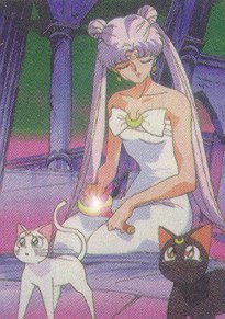   sailor moon sailormoon usagi usa SuperSailormoon                inner iner iners     