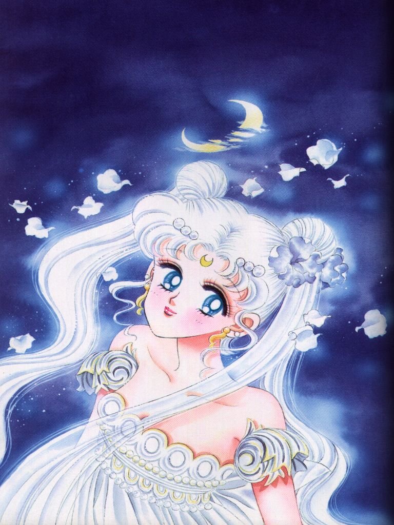   sailor moon sailormoon usagi usa SuperSailormoon                inner iner iners     