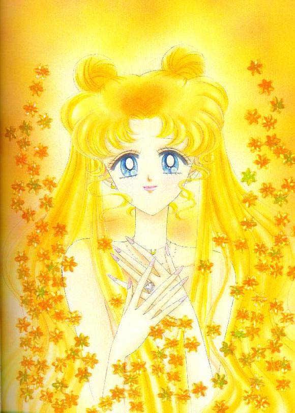   sailor moon sailormoon usagi usa SuperSailormoon                inner iner iners     