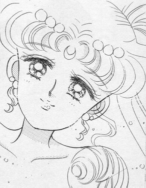   sailor moon sailormoon usagi usa SuperSailormoon                inner iner iners     