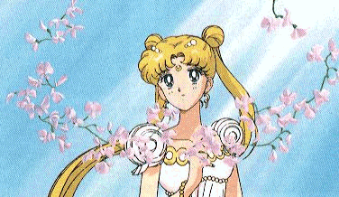   sailor moon sailormoon usagi usa SuperSailormoon                inner iner iners     