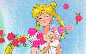   sailor moon sailormoon usagi usa SuperSailormoon                inner iner iners     