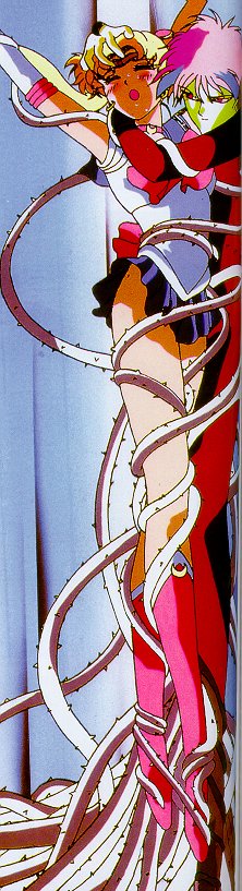   sailor moon sailormoon usagi usa SuperSailormoon                inner iner iners     