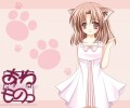 20th Heart /  / maxiol_20th_Heart_33164_.jpg