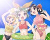 2x2 Shinobuden /  / maxiol_2x2_Shinobuden_wallpaper_170935_.jpg