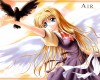 Air () /  2 / maxiol_Air_wallpaper_2_171157_.jpg