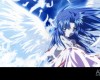 Air () /  2 / maxiol_Air_wallpaper_2_171254_.jpg