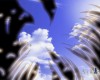 Air () /  2 / maxiol_Air_wallpaper_2_171389_.jpg
