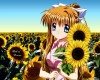 Air () /  2 / maxiol_Air_wallpaper_2_171521_.jpg