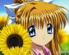 Air () /  2 / maxiol_Air_wallpaper_2_171561_.jpg