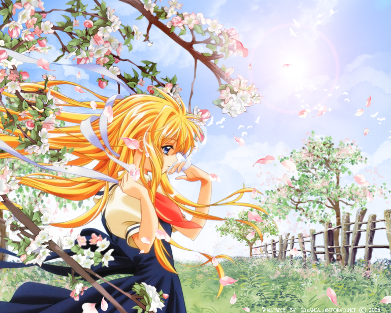 Air () /  2 / maxiol_Air_wallpaper_2_171681_.jpg