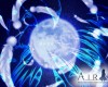 Air () /  2 / maxiol_Air_wallpaper_2_171871_.jpg