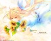 Air () /  2 / maxiol_Air_wallpaper_2_171877_.jpg
