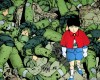 Akira /  2 / maxiol_Akira_wallpaper_2_172385_.jpg