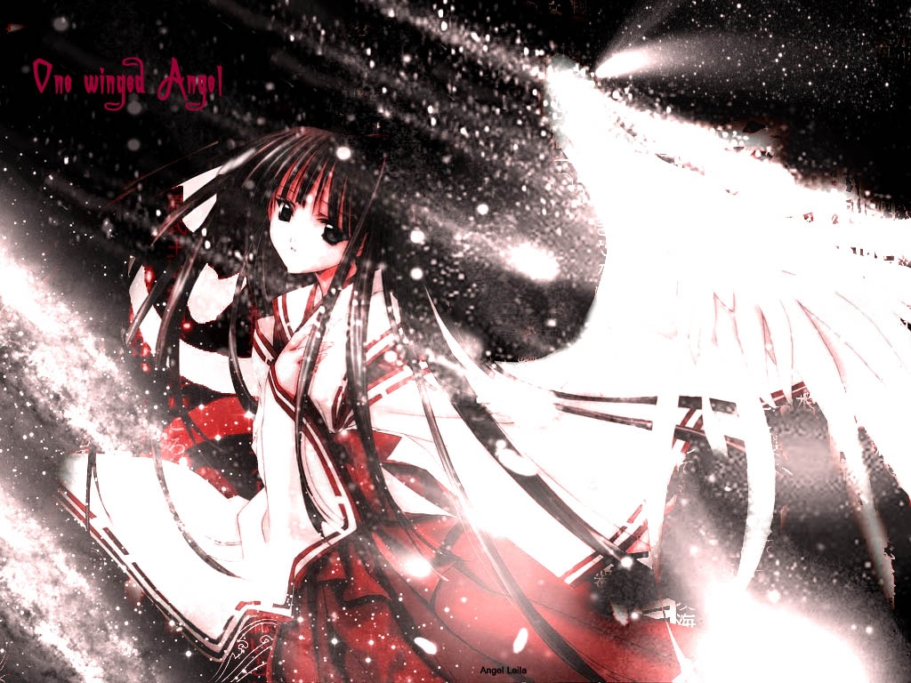 Angel Dust /  / maxiol_Angel_Dust_29952_.jpg
