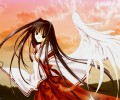 Angel Dust /  / maxiol_Angel_Dust_29967_.jpg