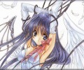 Angel Dust /  / maxiol_Angel_Dust_30006_.jpg