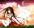 Angel Dust /  / maxiol_Angel_Dust_30054_.jpg