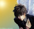 Angel Sanctuary /  / maxiol_Angels_Sanctuary_wallpaper_30163_.jpg