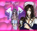 Angel Sanctuary /  / maxiol_Angels_Sanctuary_wallpaper_30328_.jpg