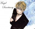 Angel Sanctuary /  / maxiol_Angels_Sanctuary_wallpaper_30344_.jpg