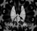 Angel Sanctuary /  / maxiol_Angels_Sanctuary_wallpaper_30526_.jpg