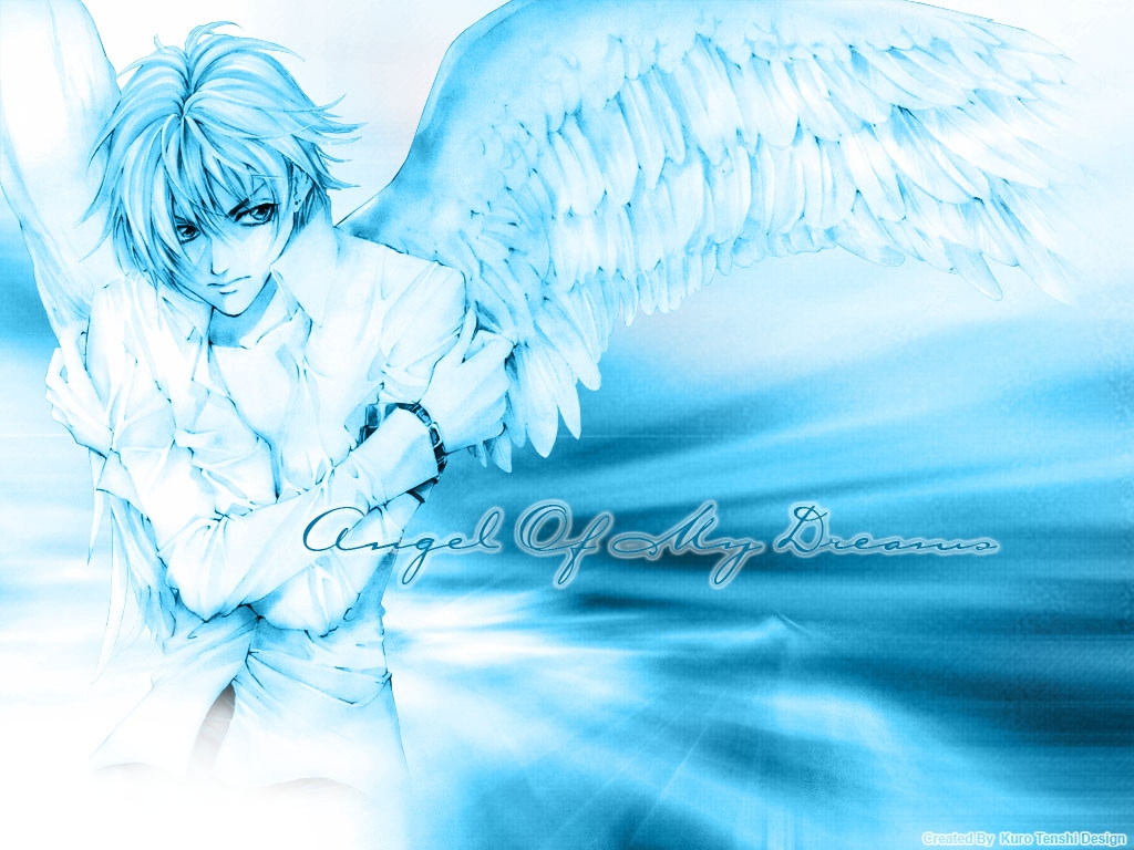 Angel Sanctuary /  2 / maxiol_Angels_Sanctuary_wallpaper_2_172528_.jpg