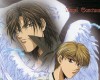 Angel Sanctuary /  2 / maxiol_Angels_Sanctuary_wallpaper_2_172659_.jpg
