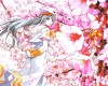 Aria () /  2 / maxiol_aria_wallpaper_2_173372_.jpg