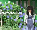 Bakemonogatari /  / maxiol_bakemonogatari_wallpaper_33288_.jpg