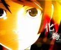 Bakemonogatari /  / maxiol_bakemonogatari_wallpaper_33289_.jpg