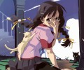 Bakemonogatari /  / maxiol_bakemonogatari_wallpaper_33339_.jpg