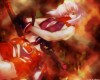 Bakuretsu Tenshi/   /  2 / maxiol_Bakuretsu_Tenshi_wallpaper_2_178853_.jpg