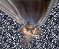 Berserk /  / maxiol_Berserk_wallpaper_34247_.jpg