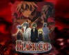 Black Cat ( ) /  / maxiol_Black_Cat_wallpaper_194670_.jpg