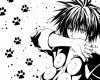 Black Cat ( ) /  / maxiol_Black_Cat_wallpaper_194695_.jpg