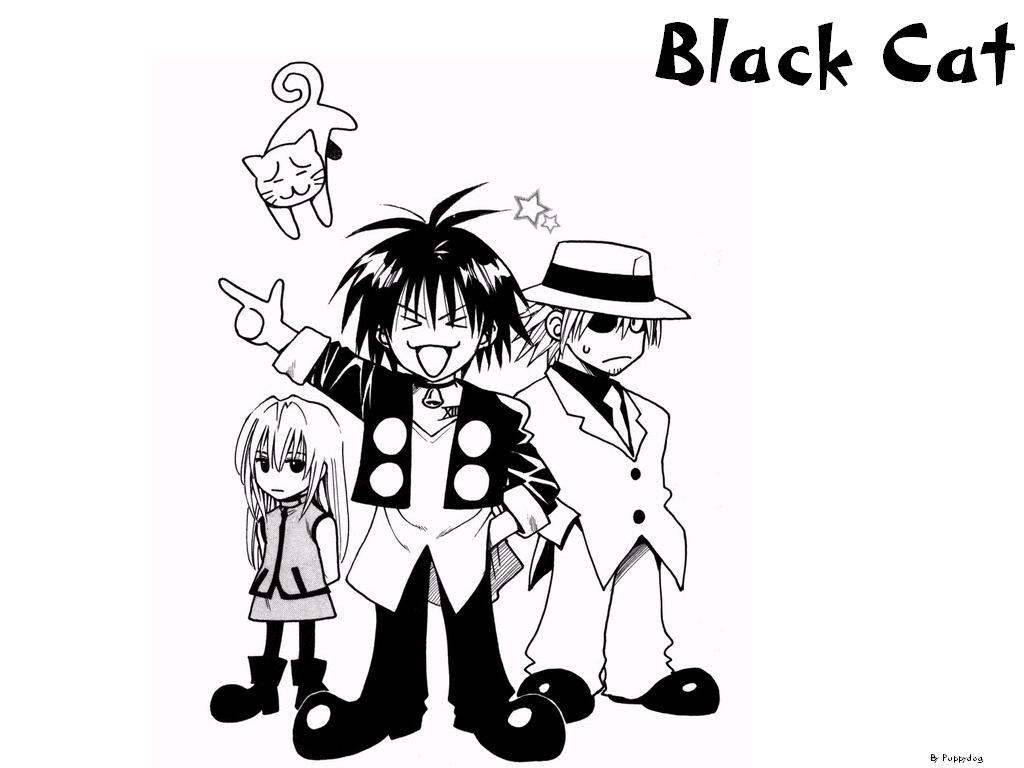 Black Cat ( ) /  / maxiol_Black_Cat_wallpaper_194749_.jpg