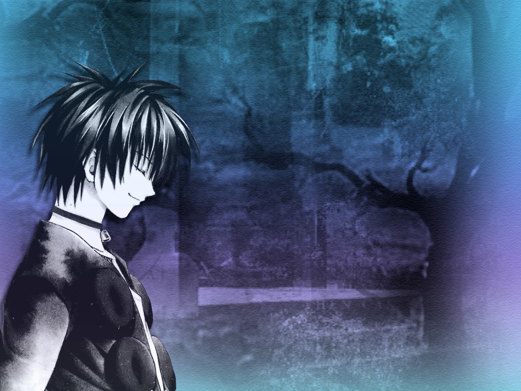 Black Cat ( ) /  / maxiol_Black_Cat_wallpaper_194759_.jpg