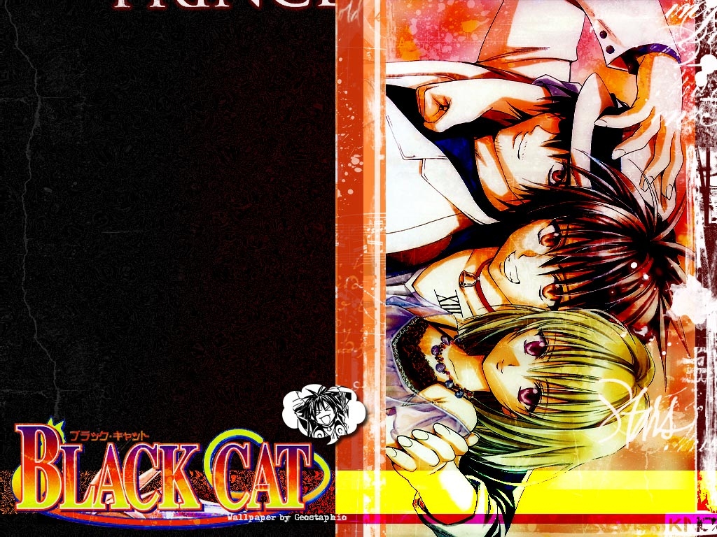 Black Cat ( ) /  / maxiol_Black_Cat_wallpaper_194826_.jpg