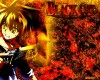 Black Cat ( ) /  / maxiol_Black_Cat_wallpaper_194847_.jpg