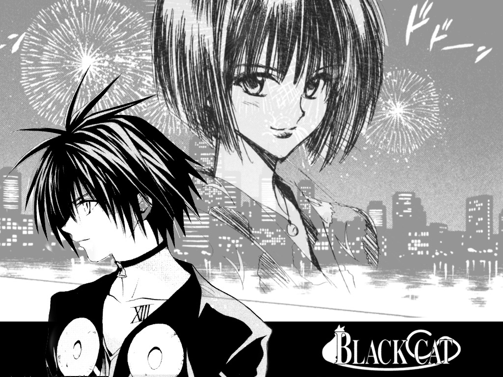 Black Cat ( ) /  / maxiol_Black_Cat_wallpaper_194901_.jpg