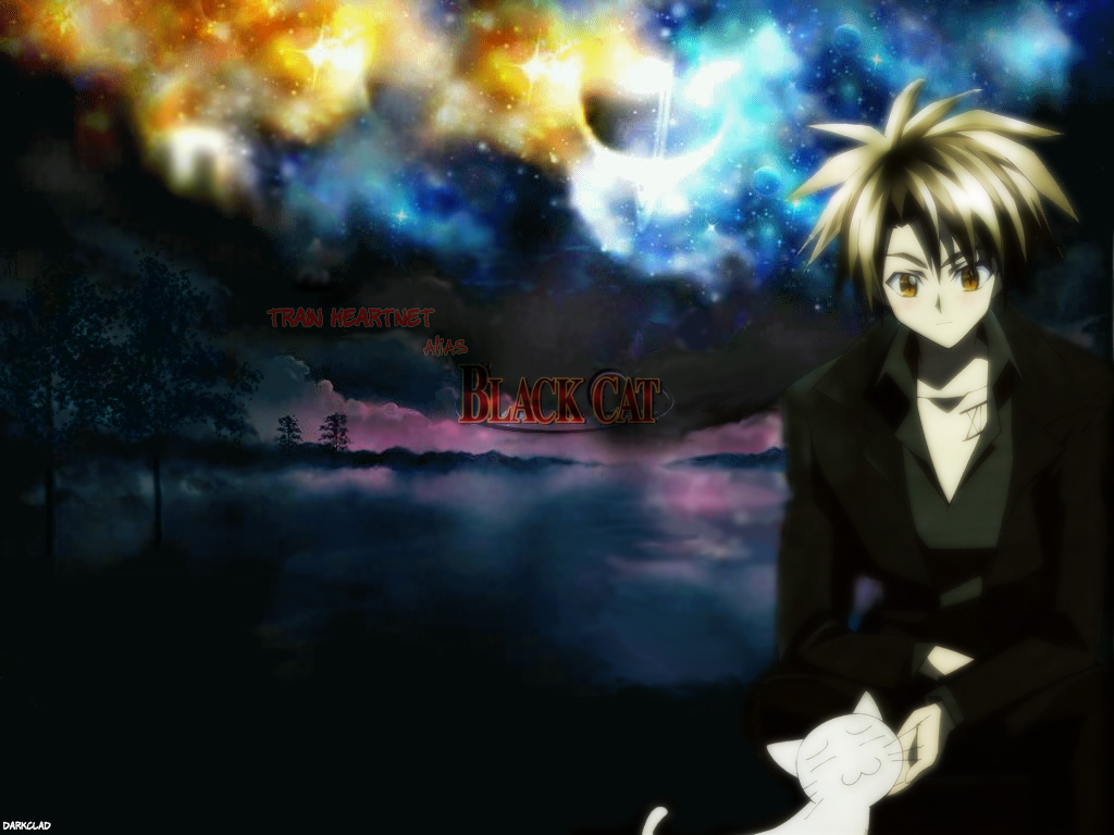 Black Cat ( ) /  / maxiol_Black_Cat_wallpaper_194907_.jpg