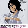 Bleach /  / maxiol_bleach_art_33188_.jpg