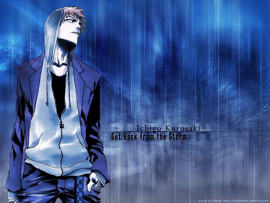 Bleach /  / maxiol_bleach_wallpaper_34564_.jpg