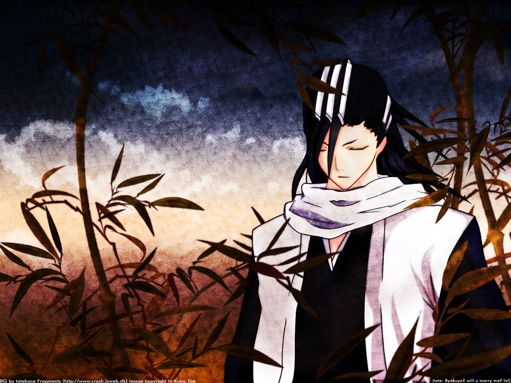 Bleach /  / maxiol_bleach_wallpaper_34570_.jpg