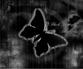 Bleach /  / maxiol_bleach_wallpaper_34615_.jpg